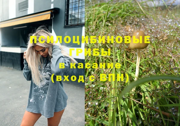 метадон Приозерск